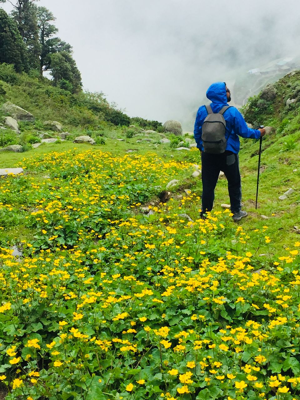 Photo of Mystical Journey From Jammu to Himachal A trip to "Heaven on Earth" 10/38 by Rahul Garg