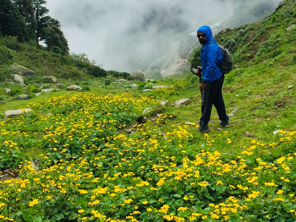 Photo of Mystical Journey From Jammu to Himachal A trip to "Heaven on Earth" 9/38 by Rahul Garg