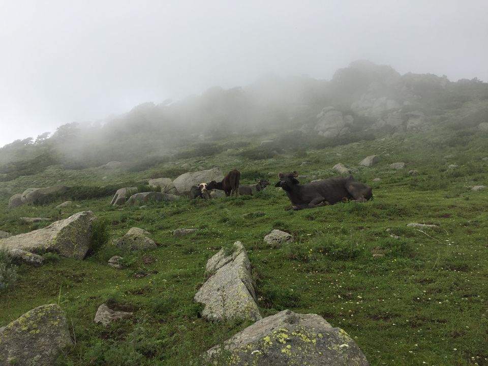 Photo of Mystical Journey From Jammu to Himachal A trip to "Heaven on Earth" 28/38 by Rahul Garg