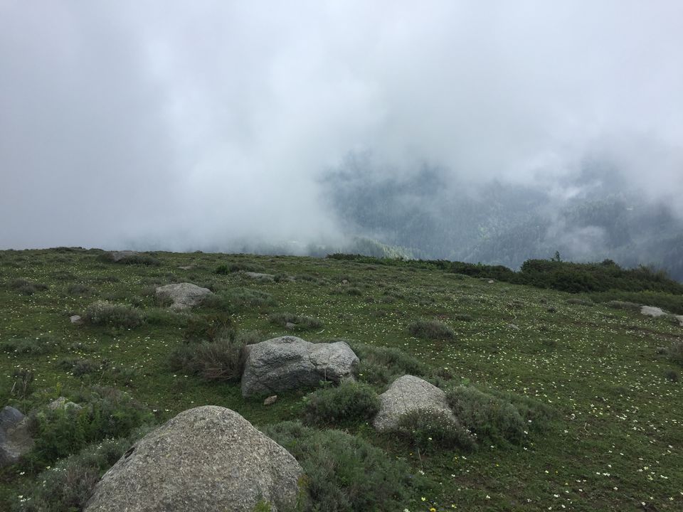 Photo of Mystical Journey From Jammu to Himachal A trip to "Heaven on Earth" 29/38 by Rahul Garg
