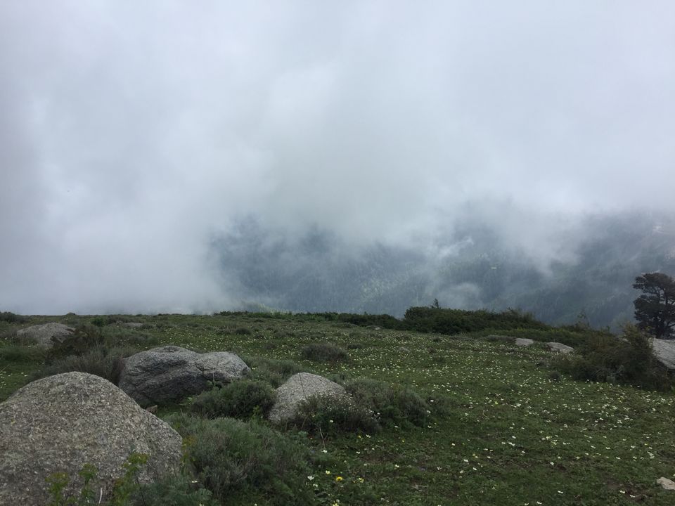 Photo of Mystical Journey From Jammu to Himachal A trip to "Heaven on Earth" 30/38 by Rahul Garg