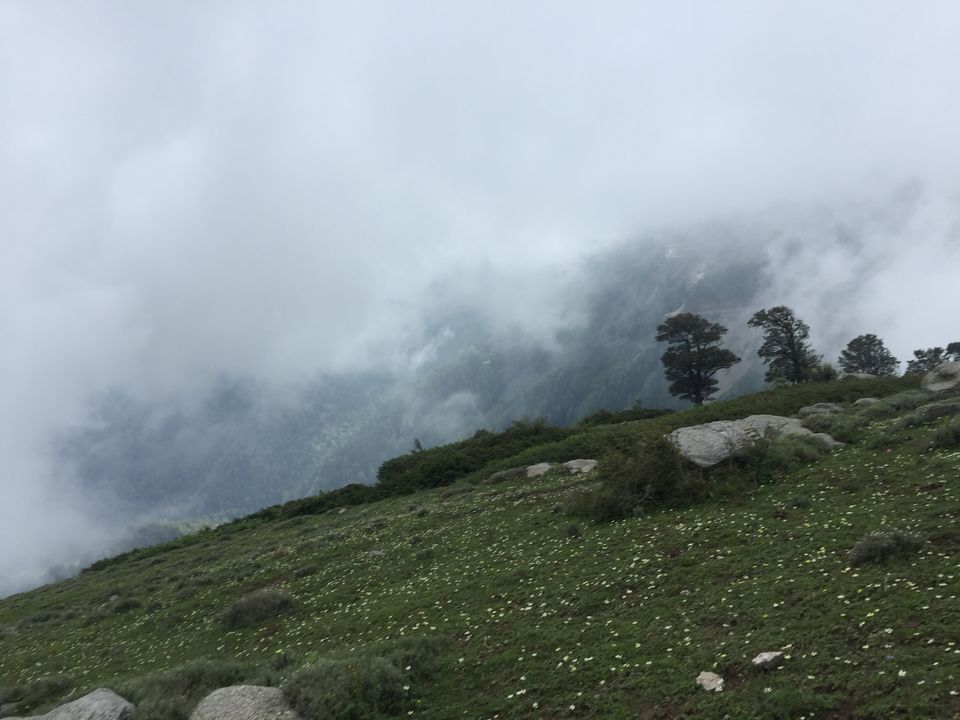 Photo of Mystical Journey From Jammu to Himachal A trip to "Heaven on Earth" 31/38 by Rahul Garg