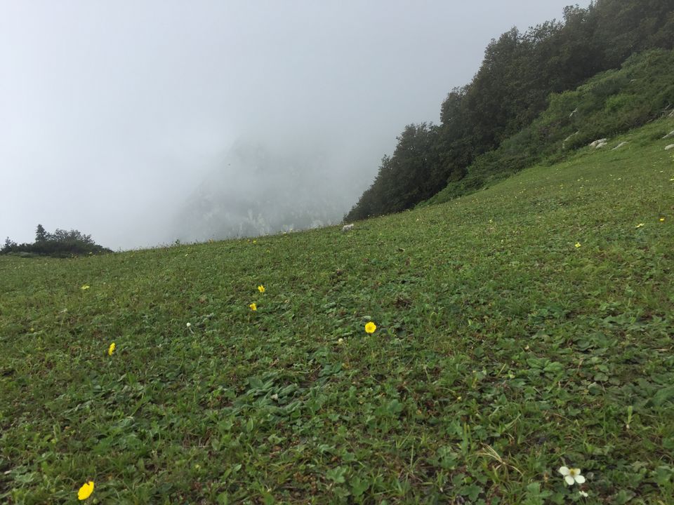 Photo of Mystical Journey From Jammu to Himachal A trip to "Heaven on Earth" 33/38 by Rahul Garg