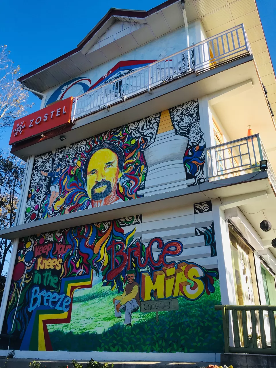 Photo of Zostel Bir, Bir Colony, Bir, Himachal Pradesh, India by Rahul Garg