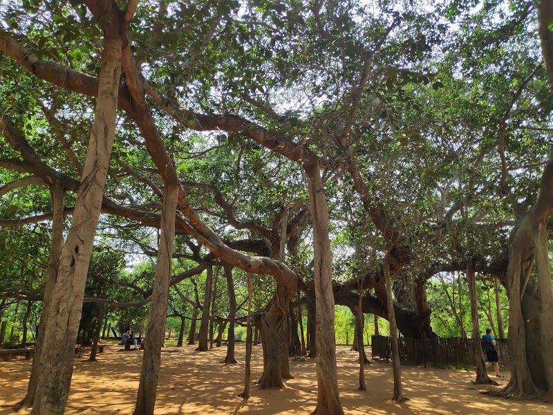 Photo of Auroville, Tamil Nadu, India by Rahul Garg