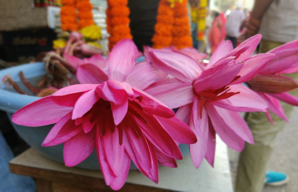 Photo of Mumbai Diaries by Alok Pole