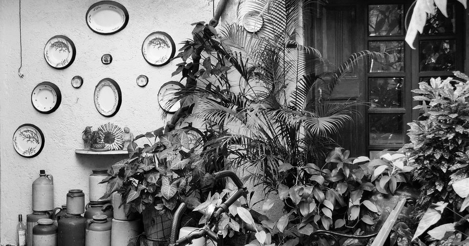 Photo of Mumbai Diaries by Alok Pole