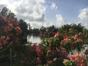Photo of A Day Trip To Dudhani & Silvassa | 1/3 by Hetvi J. Desai