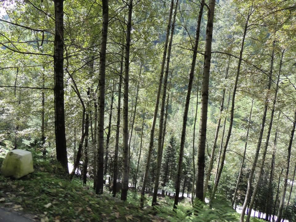 Photo of Manali, Himachal Pradesh, India by Vipin Kumar
