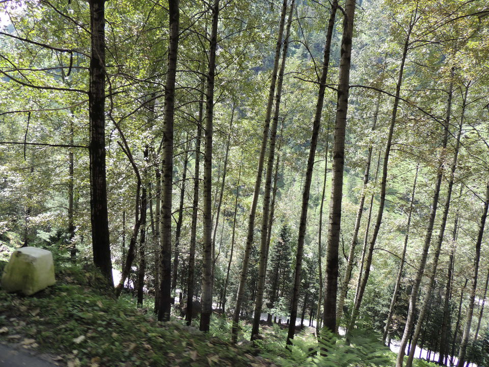Photo of Manali, Himachal Pradesh, India by Vipin Kumar