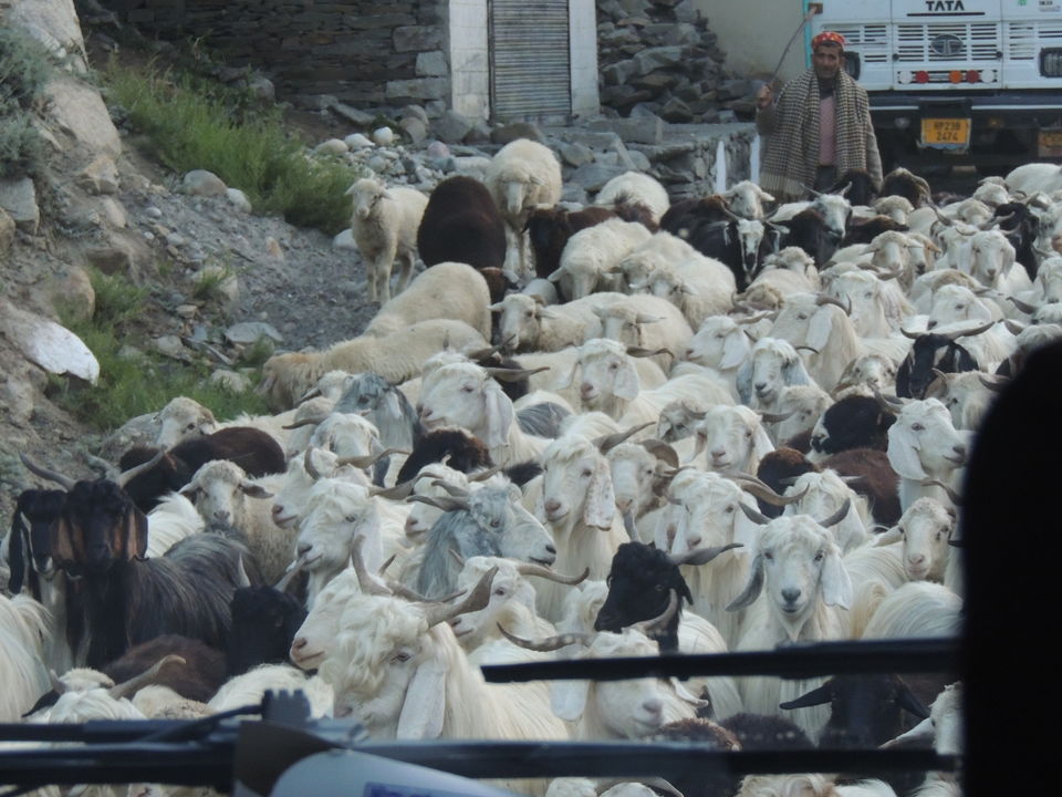 Photo of Keylong, Himachal Pradesh, India by Vipin Kumar