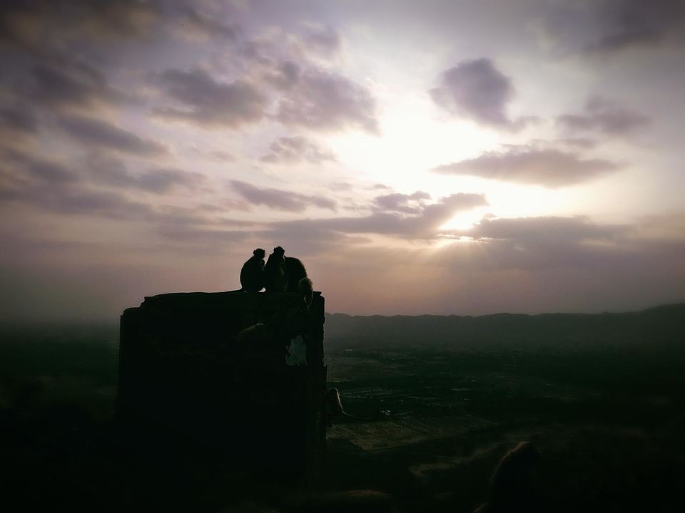 Photo of Pushkar, Rajasthan 3/22 by suman.magan