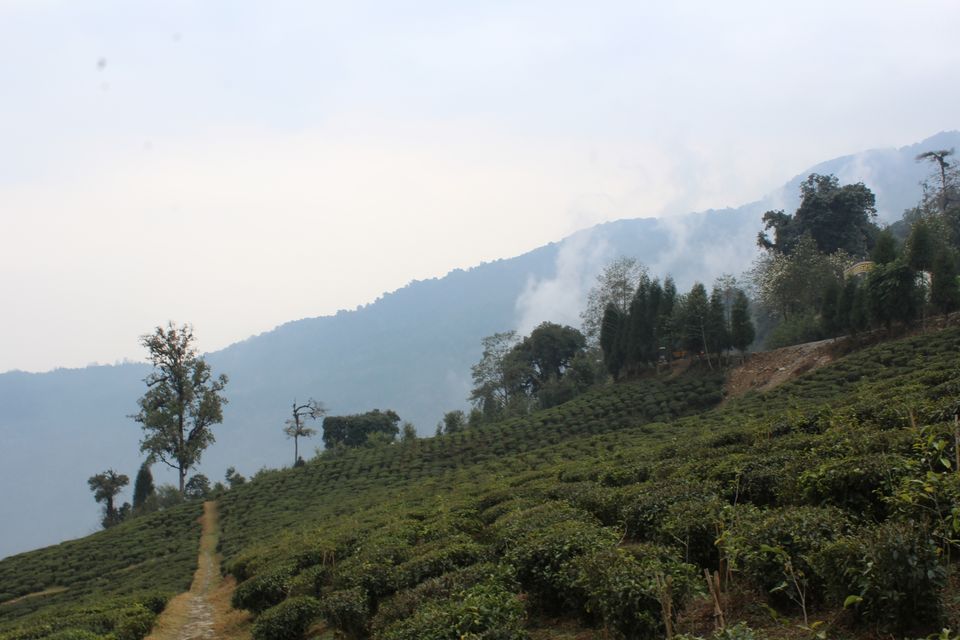 Photo of Scintillating Sikkim – Part 1 by Mileandsmile