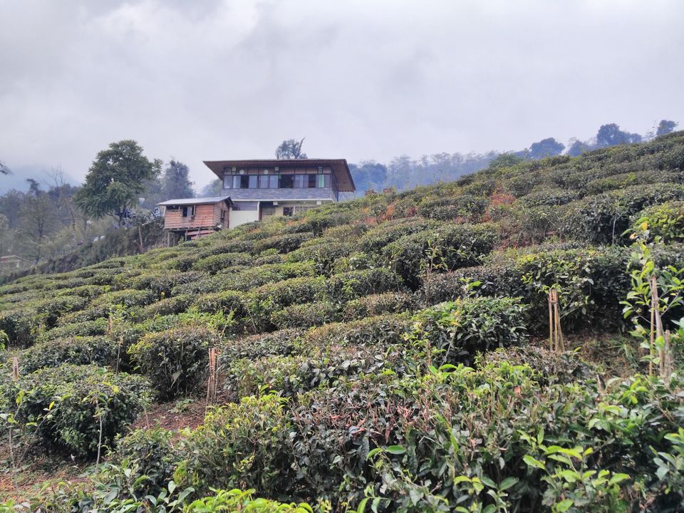 Photo of Scintillating Sikkim – Part 1 by Mileandsmile