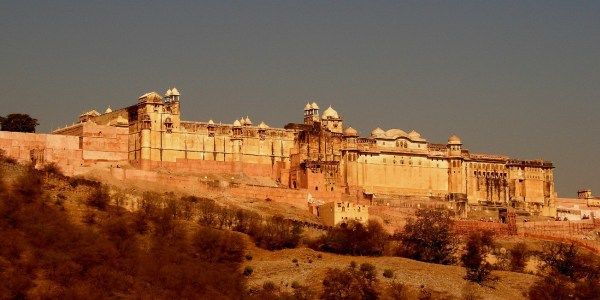 Photo of Roaring Ranthambore and the Joyful Jaipur. 3/5 by Mileandsmile