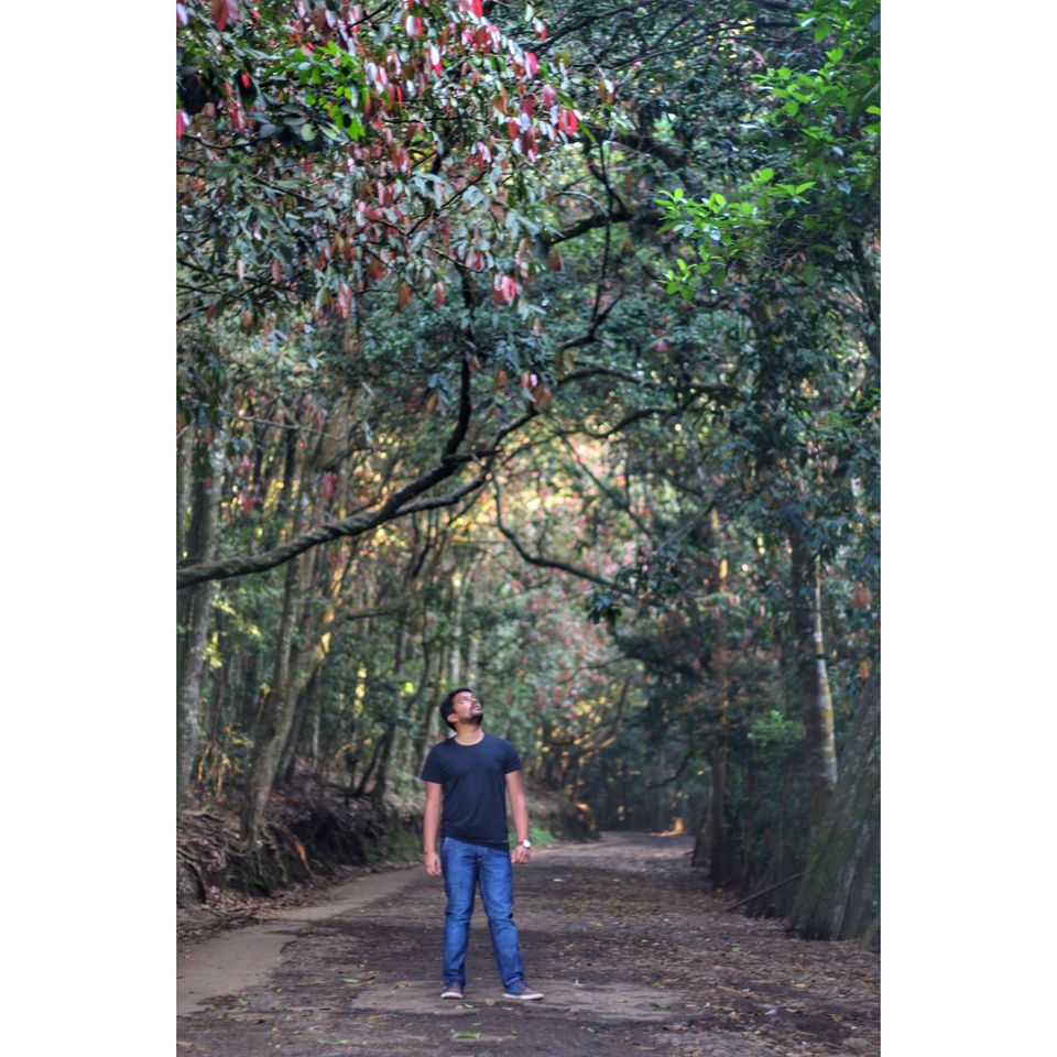 Photo of 12 months 12 states 12 leaves - Without leaving a job...How I did it? by Mileandsmile