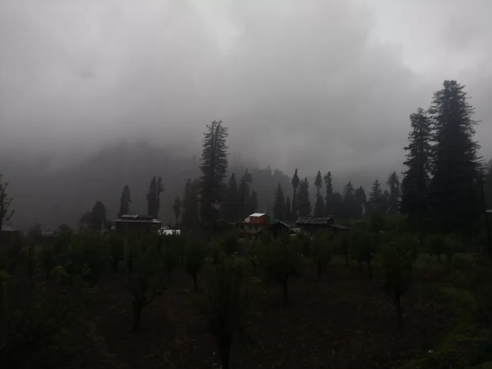 Photo of Kalgha, Sosan, Himachal Pradesh, India by karna