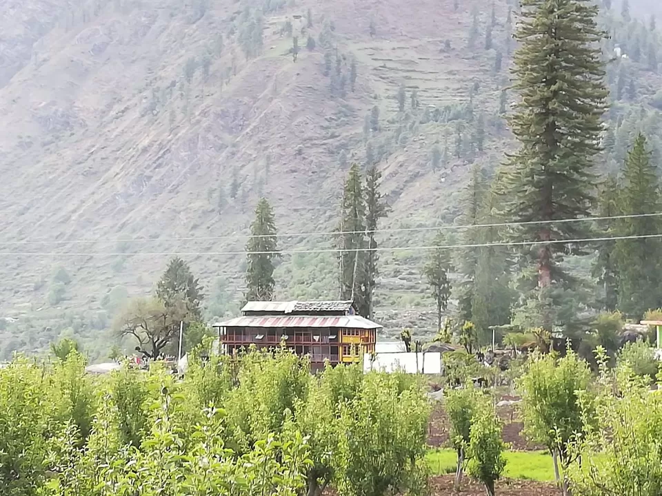 Photo of Kalgha, Sosan, Himachal Pradesh, India by karna