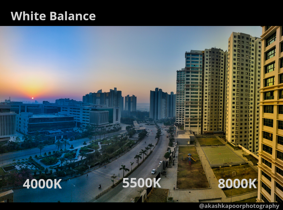 Photo of Photographers – Use This Simple Trick to Make Your Photos Look Professional! 1/1 by Akash Kapoor