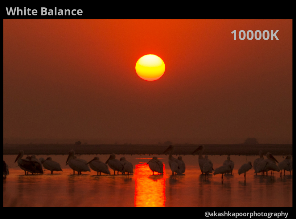 Photo of Photographers – Use This Simple Trick to Make Your Photos Look Professional! by Akash Kapoor