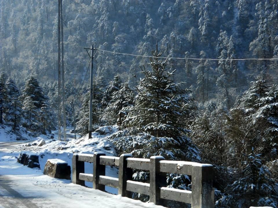 Photo of Katao, Sikkim, India by Raya Banerjee