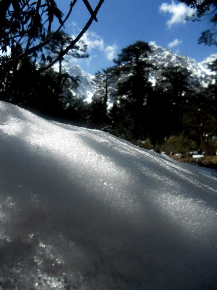Photo of Yumthang, Sikkim, India by Raya Banerjee