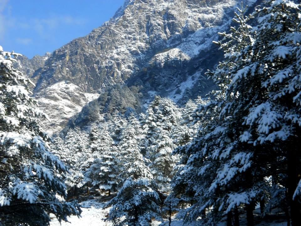 Photo of Katao, Sikkim, India by Raya Banerjee