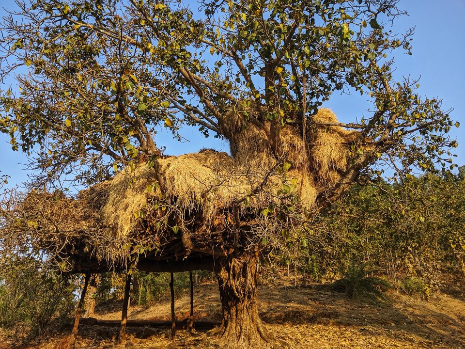 Photo of Country roads, Camping & Waterfall bathing- A weekend at Jawhar #Lockdown by Prakriti Singh