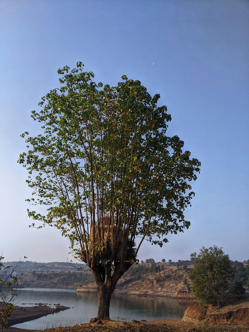 Photo of Country roads, Camping & Waterfall bathing- A weekend at Jawhar #Lockdown by Prakriti Singh