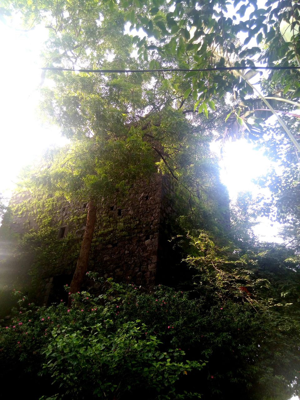 Photo of The Road Not Taken: Discovering Belapur Fort 9/21 by Prakriti Singh
