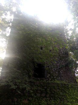 Photo of The Road Not Taken: Discovering Belapur Fort 8/21 by Prakriti Singh