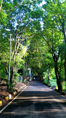 Photo of The Road Not Taken: Discovering Belapur Fort 15/21 by Prakriti Singh