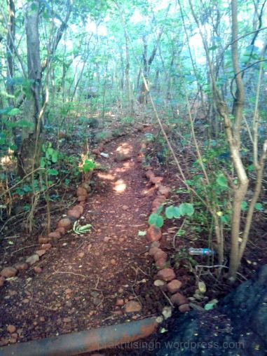 Photo of The Road Not Taken: Discovering Belapur Fort 18/21 by Prakriti Singh
