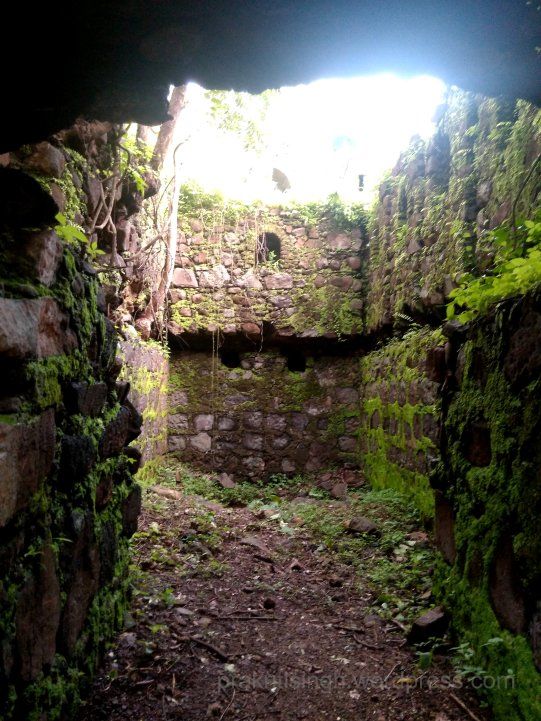 Photo of The Road Not Taken: Discovering Belapur Fort 20/21 by Prakriti Singh