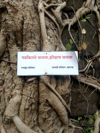 Photo of The Road Not Taken: Discovering Belapur Fort 21/21 by Prakriti Singh