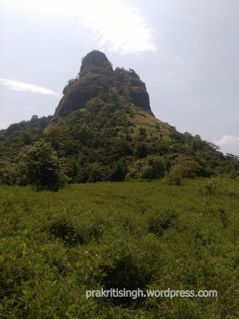 Photo of Discovering myself at Sarasgad – My solo hike experience 15/26 by Prakriti Singh