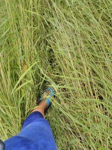 Photo of Discovering myself at Sarasgad – My solo hike experience 17/26 by Prakriti Singh