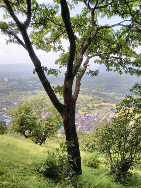 Photo of Discovering myself at Sarasgad – My solo hike experience 24/26 by Prakriti Singh