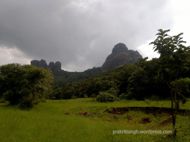 Photo of Discovering myself at Sarasgad – My solo hike experience 26/26 by Prakriti Singh