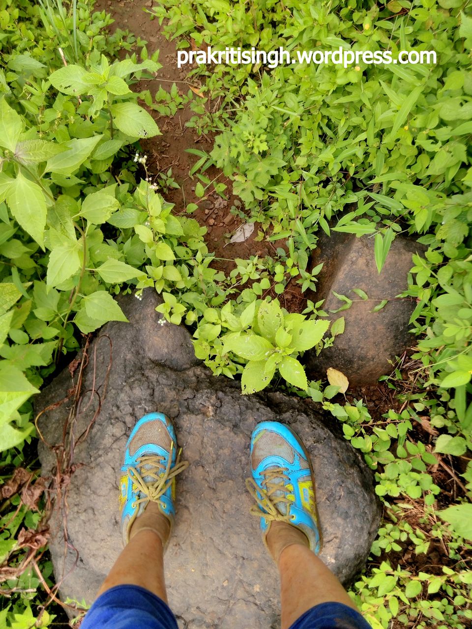 Photo of Discovering myself at Sarasgad – My solo hike experience 1/26 by Prakriti Singh