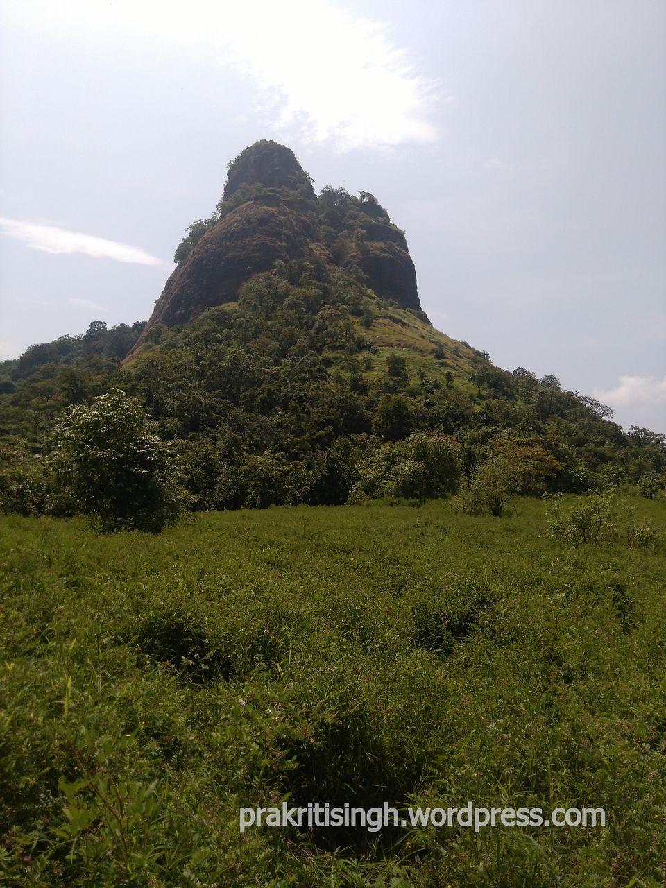 Photo of Discovering myself at Sarasgad – My solo hike experience 5/26 by Prakriti Singh