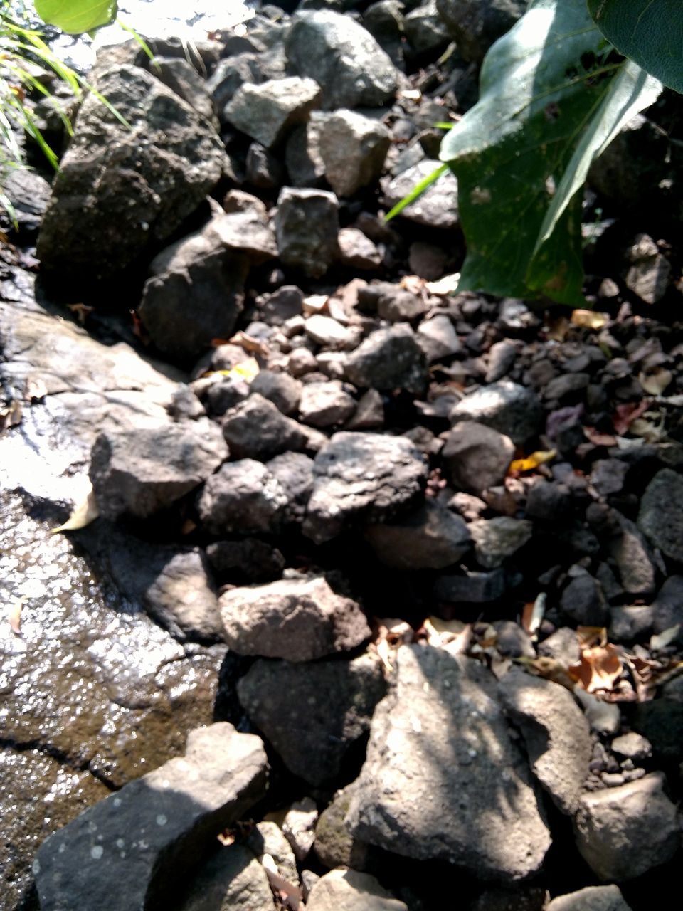 Photo of Discovering myself at Sarasgad – My solo hike experience 6/26 by Prakriti Singh