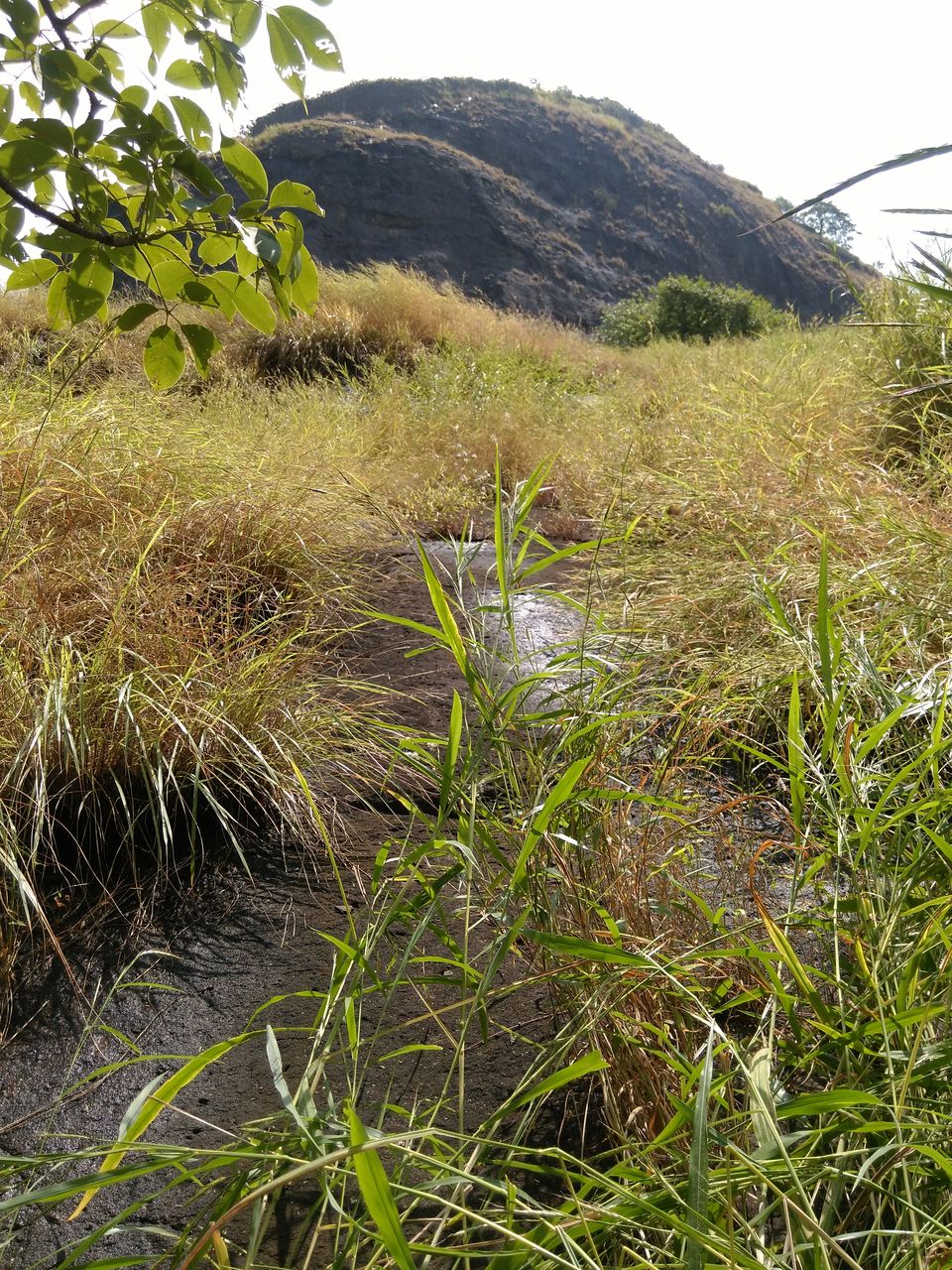 Photo of Discovering myself at Sarasgad – My solo hike experience 7/26 by Prakriti Singh