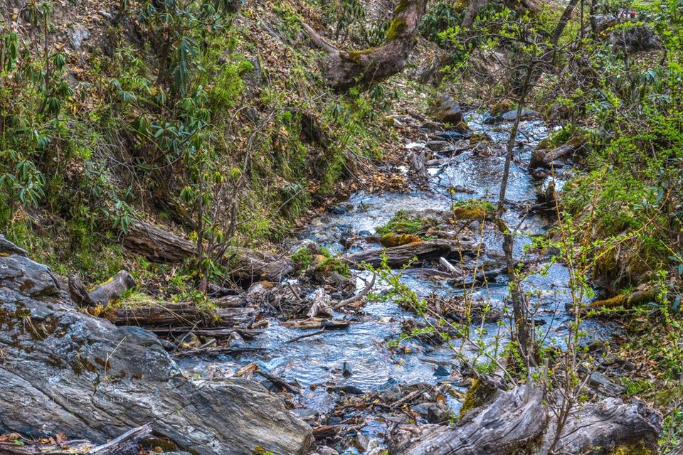 Photo of Pangarchulla Peak Trek in April 2017 by Prakriti Varshney