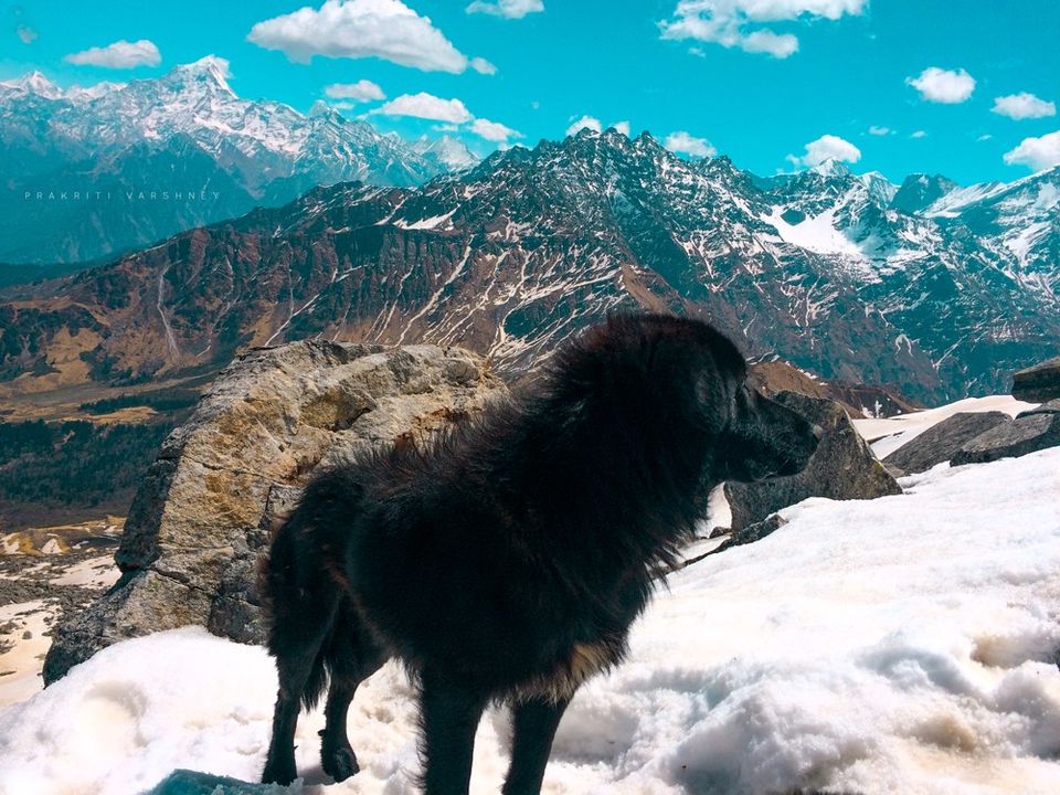 Photo of Pangarchulla Peak, Salud Dugra, Uttarakhand by Prakriti Varshney