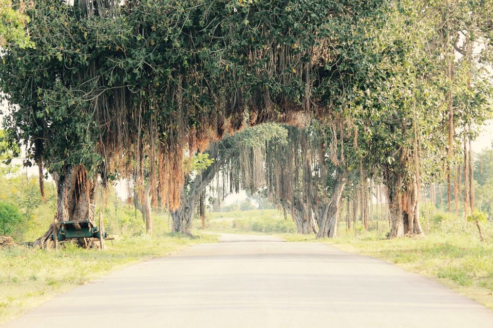 Photo of 1000 Kms long weekend 6/8 by Suruchika Singh