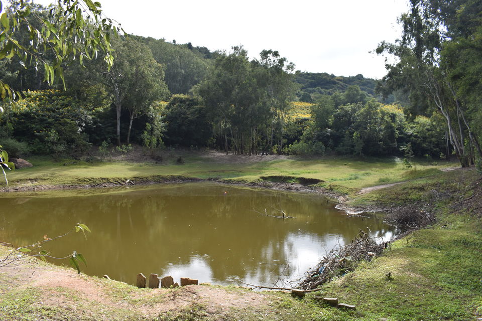 Photo of One day trip to Horsley Hills 6/16 by Madhukar Naidu