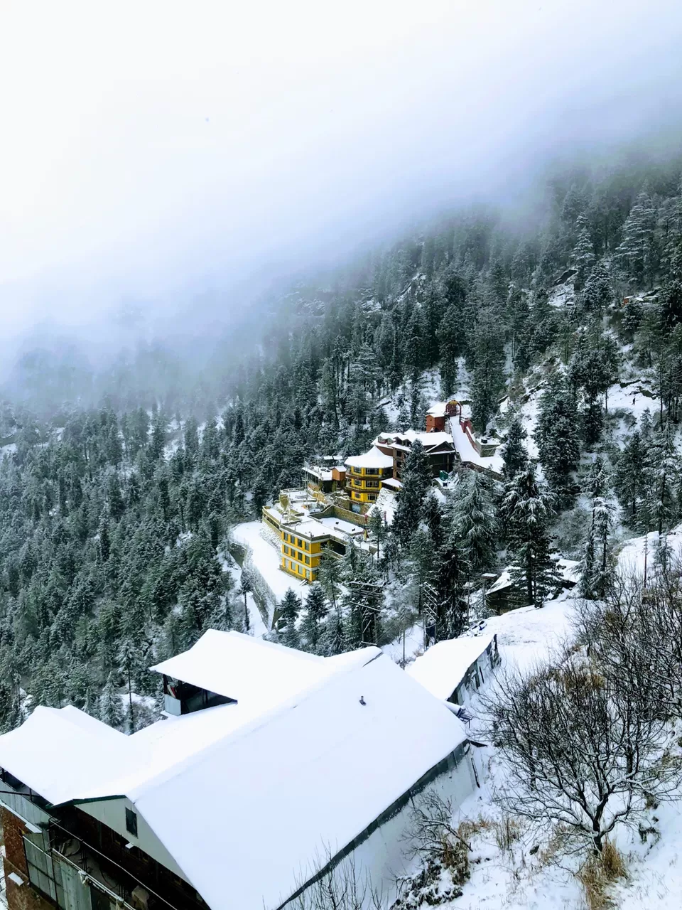 Photo of Kufri by Amit Tomar