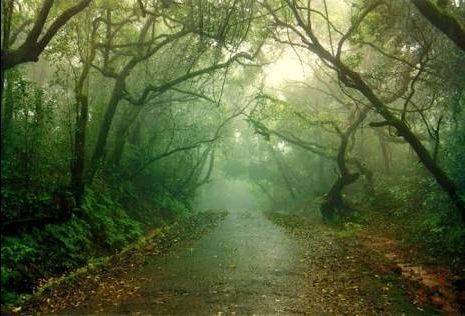 Photo of Awestruck Panchgani by Aniruddha Pathak