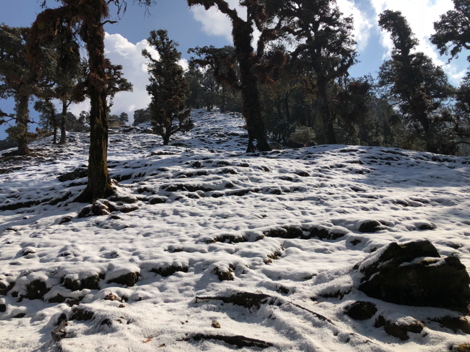Photo of My first ever snow trek - Fighting my phobia #photosofsnow 7/16 by Penning Silly Thoughts